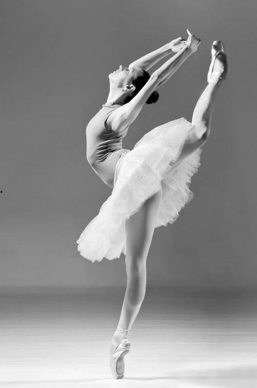 成人拉丁舞蹈专业视频,舞步技巧与风格魅力全解析