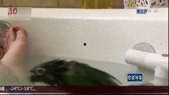 在家成人泡澡怎么泡视频