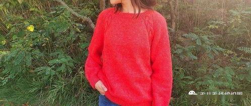 成人麻花编织视频教程,跟随视频轻松掌握成人麻花编织技巧