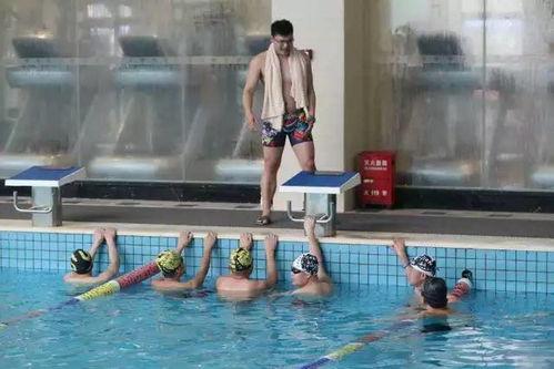 成人游泳女装视频,成人游泳女装教学视频精华回顾