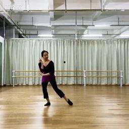 赵琴成人舞蹈教学视频