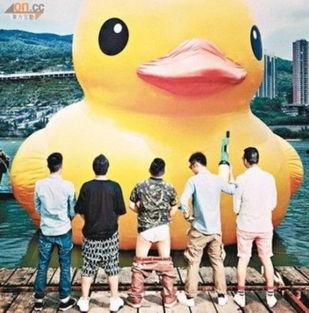 大黄鸭成人精品视频,一场视觉与情感的盛宴